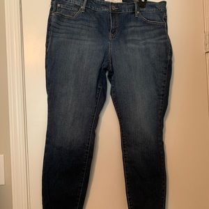 Torrid Skinny Jean